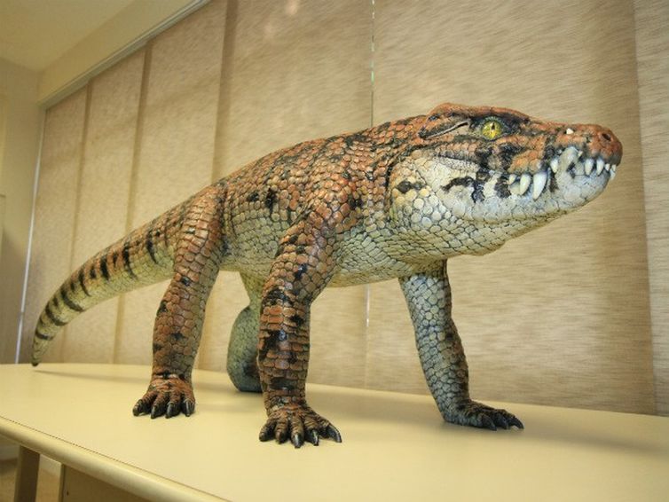 O fóssil do Caipirasuchus mineirus revela que o animal tinha um esqueleto articulado e possuÃa hábitos terrestres. Tinha um andar erguido do chão, similar ao de um cachorro.