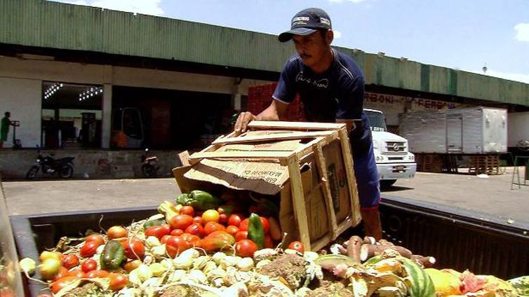 O programa Caminhos da Reportagem, da TV Brasil, aborda o desperdício na cadeia de produção de alimentos 