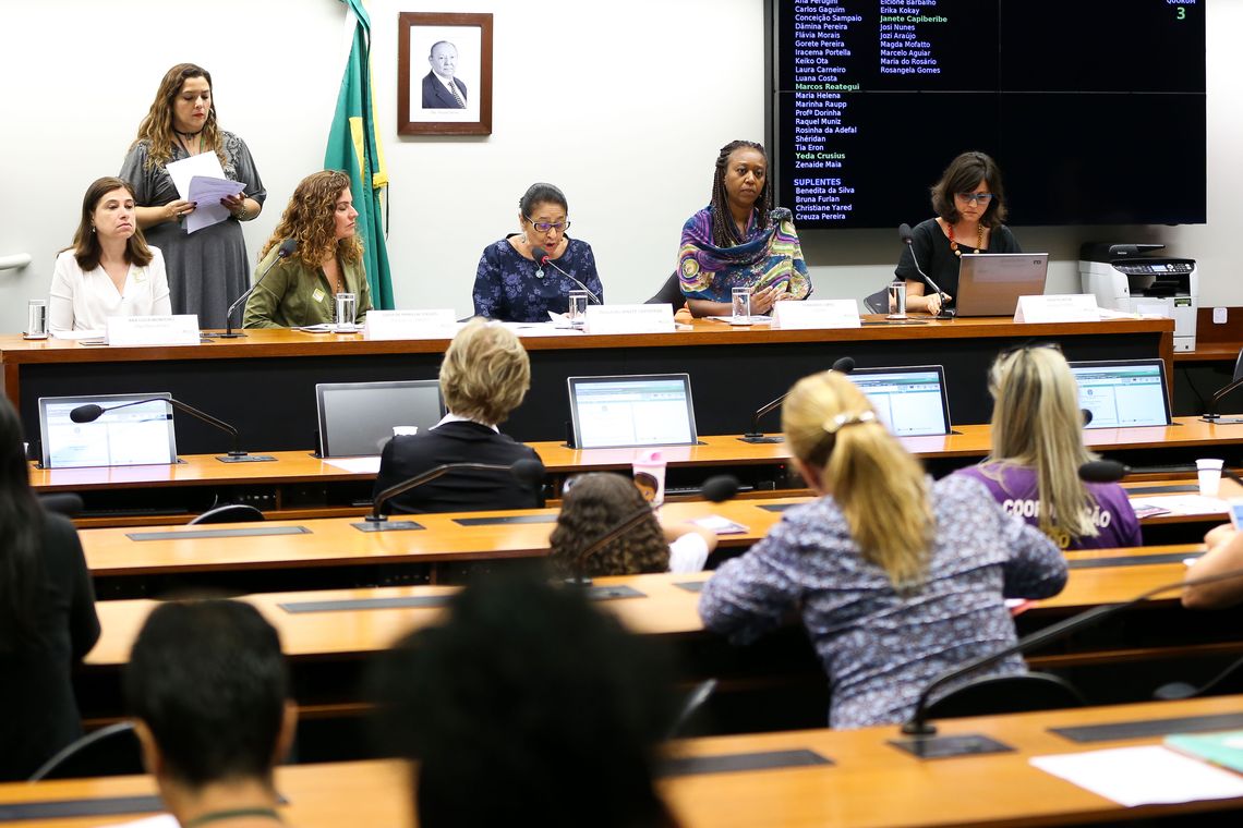 Marcelo Camargo/Agência Brasil Brasília - A comissão de Defesa dos Direitos da Mulher faz audiência pública para debater o tema