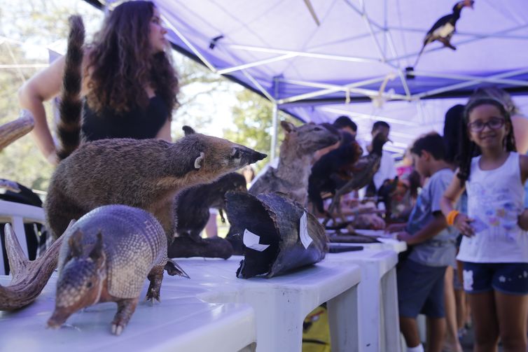 O festival Museu Nacional Vive, na Quinta da Boa Vista, mostra ao público o trabalho de pesquisadores e parte do acervo, após o grande incêndio de 2 de setembro no Museu Nacional do Rio de Janeiro.