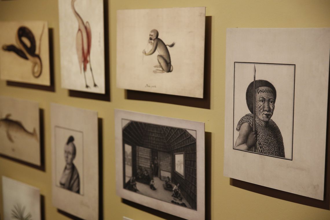 Fernando Frazão/Agência Brasil A Fundação Biblioteca Nacional (FBN) abre a exposição 1808 a 1818, A construção do reino do Brasil, dando início às comemorações dos 200 anos da Independência do Brasil.