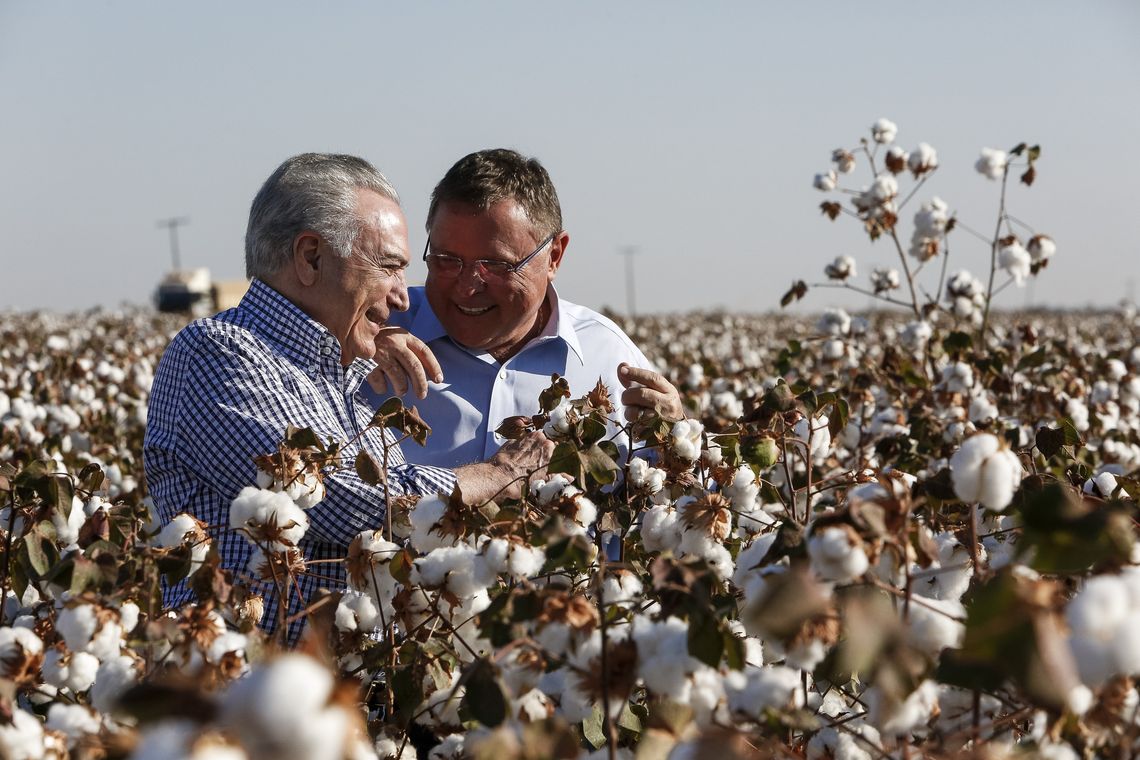 Alan Santos/PR Lucas do Rio Verde/MT - O presidente Michel Temer e o ministro da Agricultura, Blairo Maggi, abrem oficialmente a colheita estadual de algodão em Mato Grosso (Alan Santos /PR)