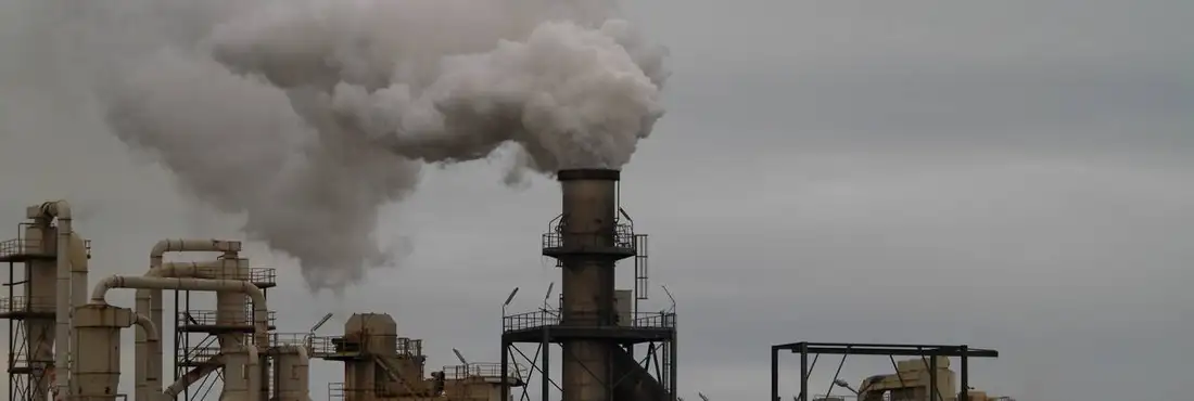 Sociedade civil sugere metas de sustentabilidade para prefeitos Um documento será apresentado a todos os candidatos às prefeituras do país, com metas nas áreas econômica, social, ambiental, cultural e de governança.