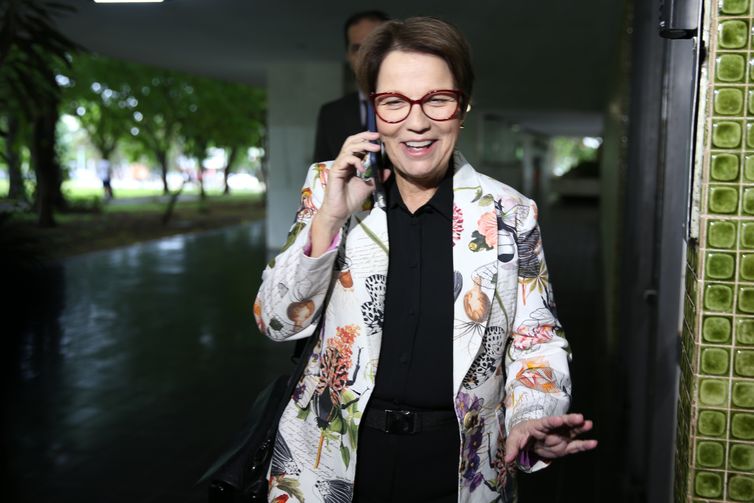 A deputada federal e futura ministra da Agricultura no governo de Jair Bolsonaro, Tereza Cristina,dá entrevista na saÃda de sua residência em BrasÃlia.