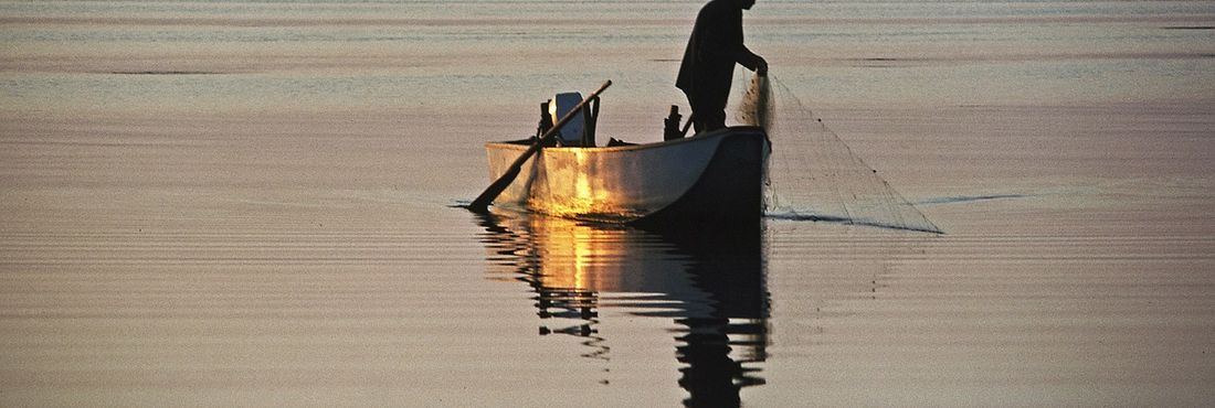 Rede de Pesca