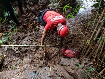 A tragédia causada pelo rompimento da barragem da Mina Córrego do Feijão, em Brumadinho, a 57 quilômetros de Belo Horizonte, completa hoje (4) 11 dias de buscas. 