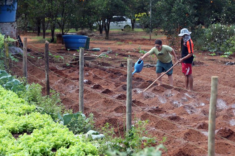 O Quilombo do Mesquita, comunidade bicentenária situada a 50 Km de BrasÃlia, corre o risco de ter território reduzido em mais de 80%.