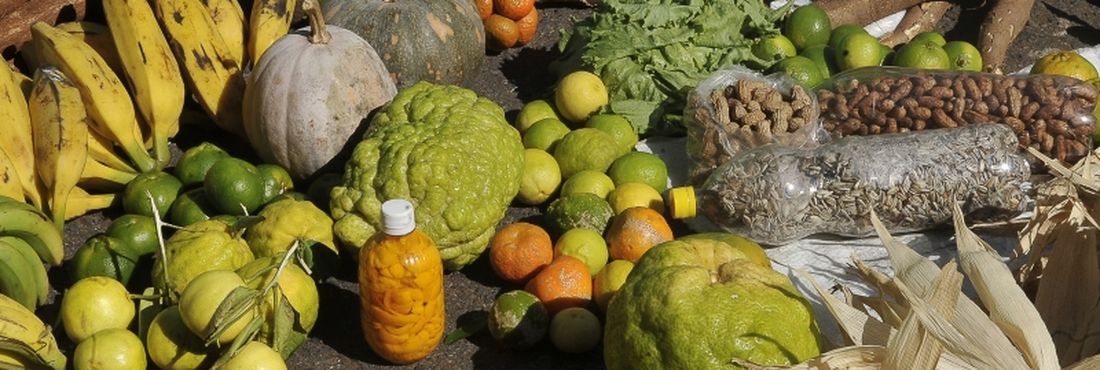 Alimento da Agricultura Familiar Alimentos