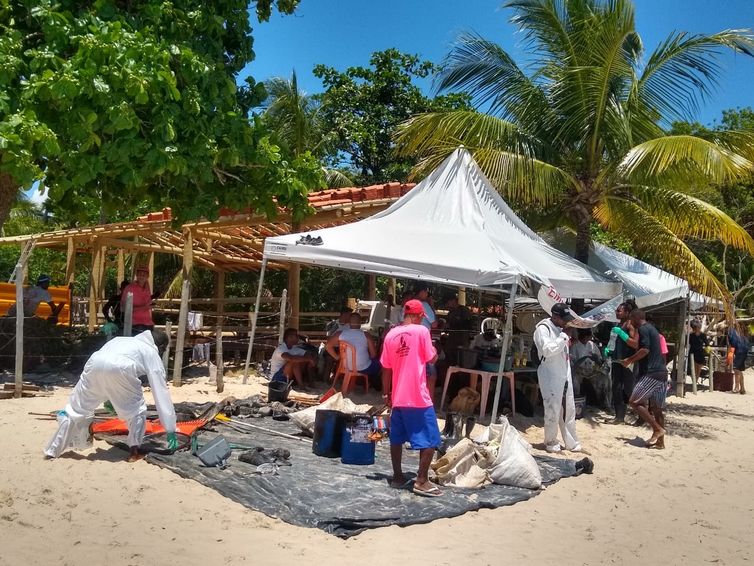 Voluntários retiram óleo de praia em Morro de São Paulo, na Bahia