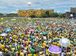 Brasília - Manifestantes vão a Esplanada dos Ministérios contra a corrupção e pela saída da presidenta Dilma Rousseff (Wilson Dias/Agência Brasil)