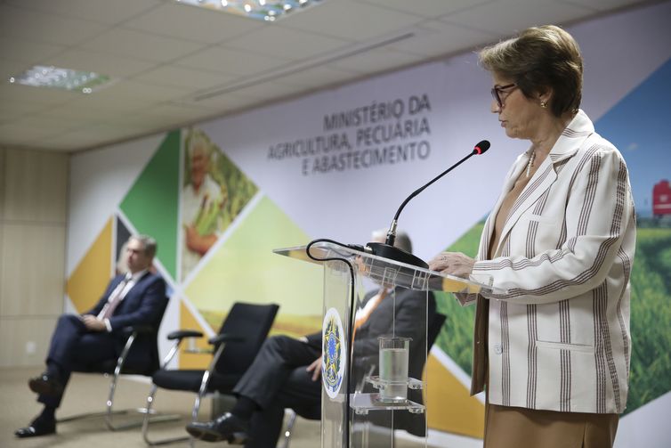 A ministra da Agricultura, Pecuária e Abastecimento, Tereza Cristina, acompanhada do secretário-executivo, Marcos Montes, abre a Reunião de Vice-Ministros de Agricultura do Brics