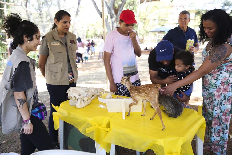 Comemoração da Semana do Serrado no Jardim Zoológico.