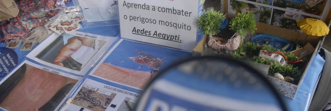 Dengue Dengue