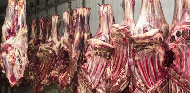 Carne fresca,Açougues, FrigorÃficos, alimento