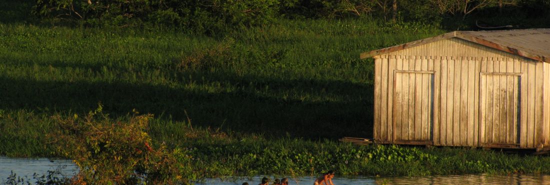 Amazônia A Floresta Amazônica ocupa dois quintos da América do Sul e aproximadamente 60% do território brasileiro