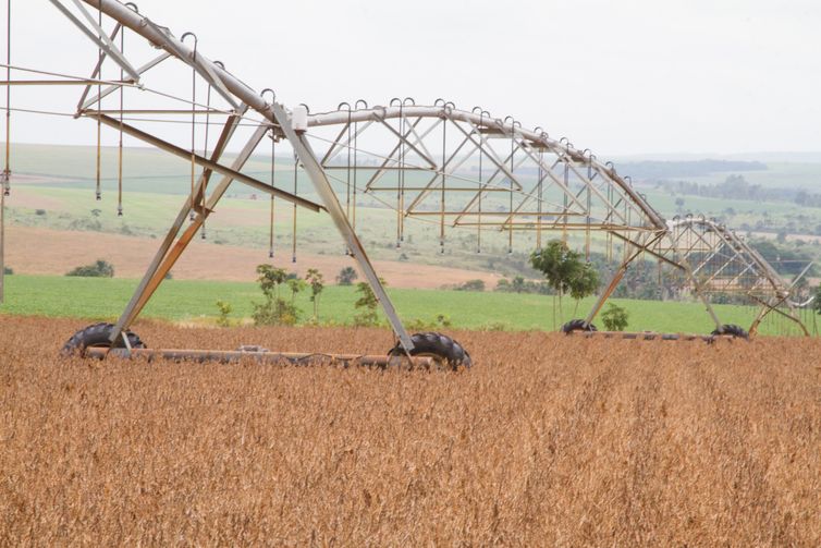 Soja GoiÃ¡s AgronegÃ³cio 