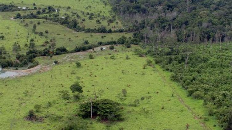 projeto rural na amazonia   pnud - Adesão ao Cadastro Ambiental Rural pode ser feita até o fim de 2019