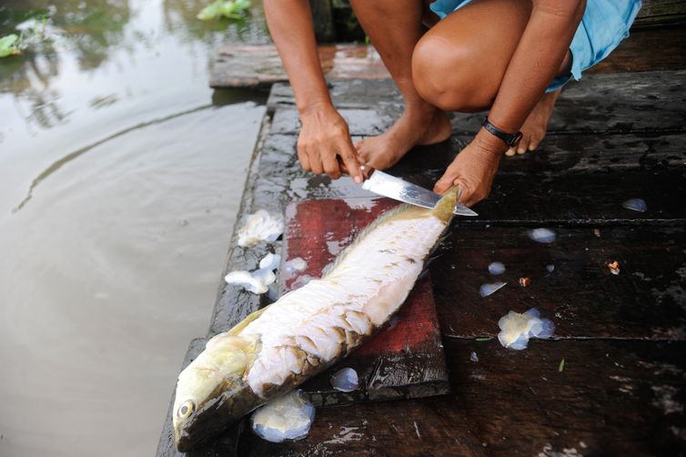 Pelos rios próximos à capital amazonense é comum encontrar pescadores nas portas das casas (Tomaz Silva/Agência Brasil)