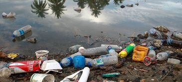 Cerca de 8 milhÃµes de toneladas de plÃ¡sticos vÃ£o parar nos oceanos todos os anos, trazendo graves prejuÃ­zos para o meio ambiente