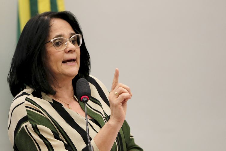 A ministra da Mulher, Famlia e Direitos Humanos, Damares Alves, participa de audincia pblica na Comisso de Defesa dos Direitos da Mulher da Cmara.