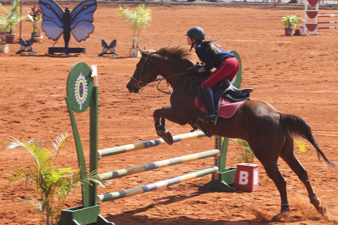 Antonio Cruz/Agência Brasil Competição equestre no 1º Regimento de Cavalaria de Guardas, em Brasília.