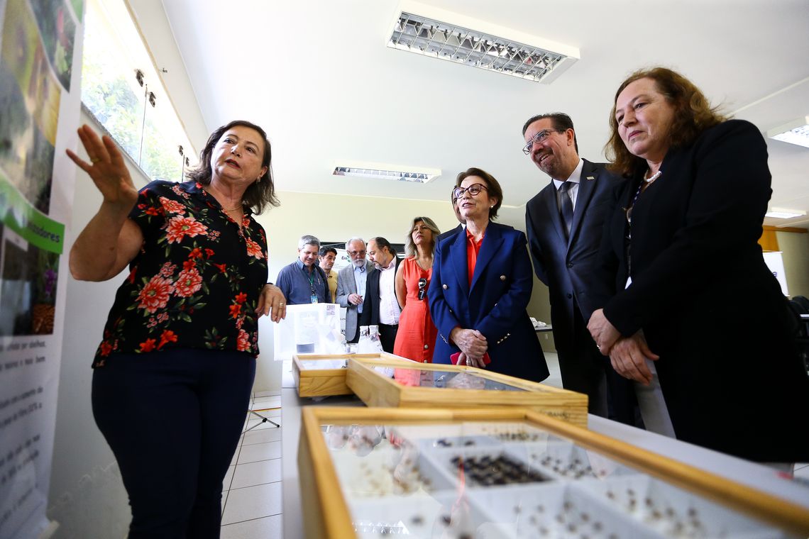 Marcelo Camargo/Agência Brasil A ministra da Agricultura, Pecuária e Abastecimento, Tereza Cristina, visita a Embrapa Recursos Genéticos e Biotecnologia, em Brasília.
