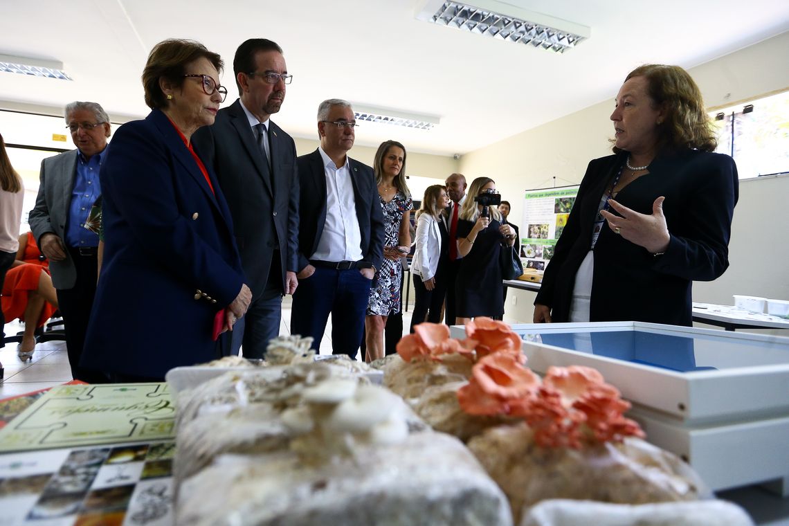 Marcelo Camargo/Agência Brasil A ministra da Agricultura, Pecuária e Abastecimento, Tereza Cristina, visita a Embrapa Recursos Genéticos e Biotecnologia, em Brasília.