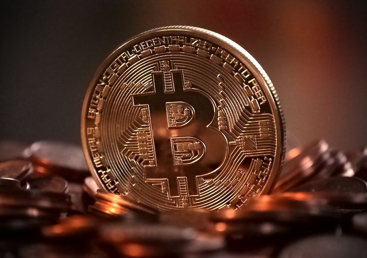 bitcoin michael wensch dominio publico