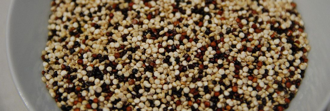 Quinoa Quinoa