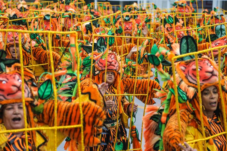 São Paulo - Desfile da Águia de Ouro durante o primeiro dia de apresentações das escolas de samba do Grupo Especial de São Paulo (Filipe Araújo/LIGASP)