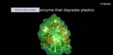 Cientistas descobrem enzima que pode digerir garrafas pet