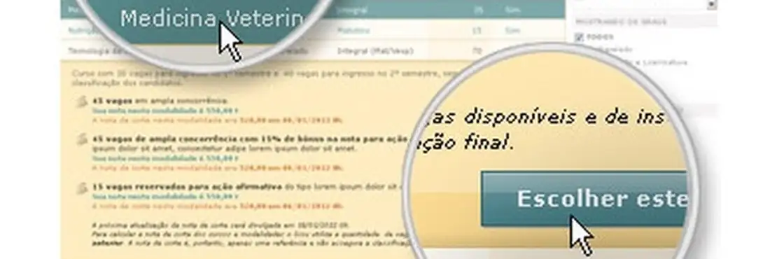 Sisu passo a passo 4 Selecione o curso escolhido
