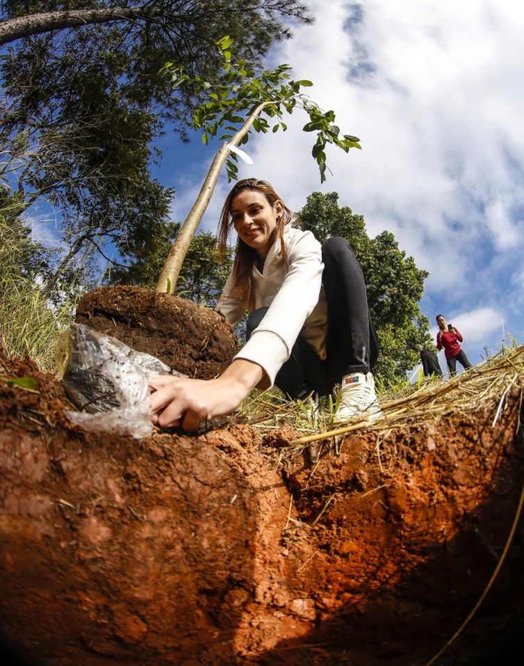 Para celebrar o Dia da Mata Atlântica (27/05), o evento Viva a Mata terá uma série de ações para chamar a atenção da sociedade sobre a importância da conservação desta floresta.