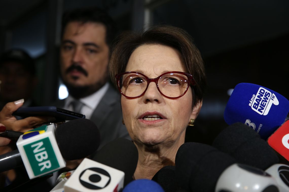 Antonio Cruz/ Agência Brasil A deputada federal e futura ministra da Agricultura no governo de Jair Bolsonaro, Tereza Cristina,dá entrevista na saída de sua residência em Brasília.