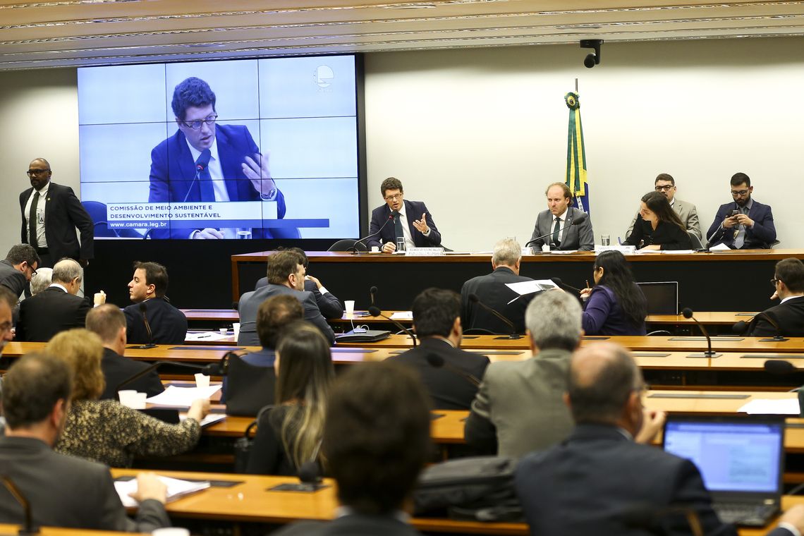 Marcelo Camargo/Agência Brasil O ministro do Meio Ambiente, Ricardo Salles, participa de audiência pública na Comissão de Meio ambiente e Desenvolvimento Sustentável da Câmara dos Deputados.