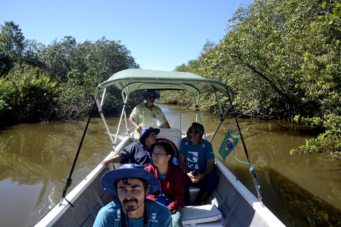 Tânia Rêgo/Agência Brasil Manguezais da Área de Proteção Ambiental (APA) de Guapi-Mirim e Estação Ecológica da Guanabara, região hidrográfica da Baía de Guanabara.