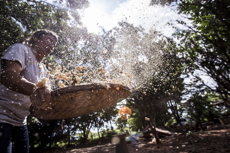 Iniciativa Produzir, Conservar, Incluir (PCI), Mato Grosso, Amazônia