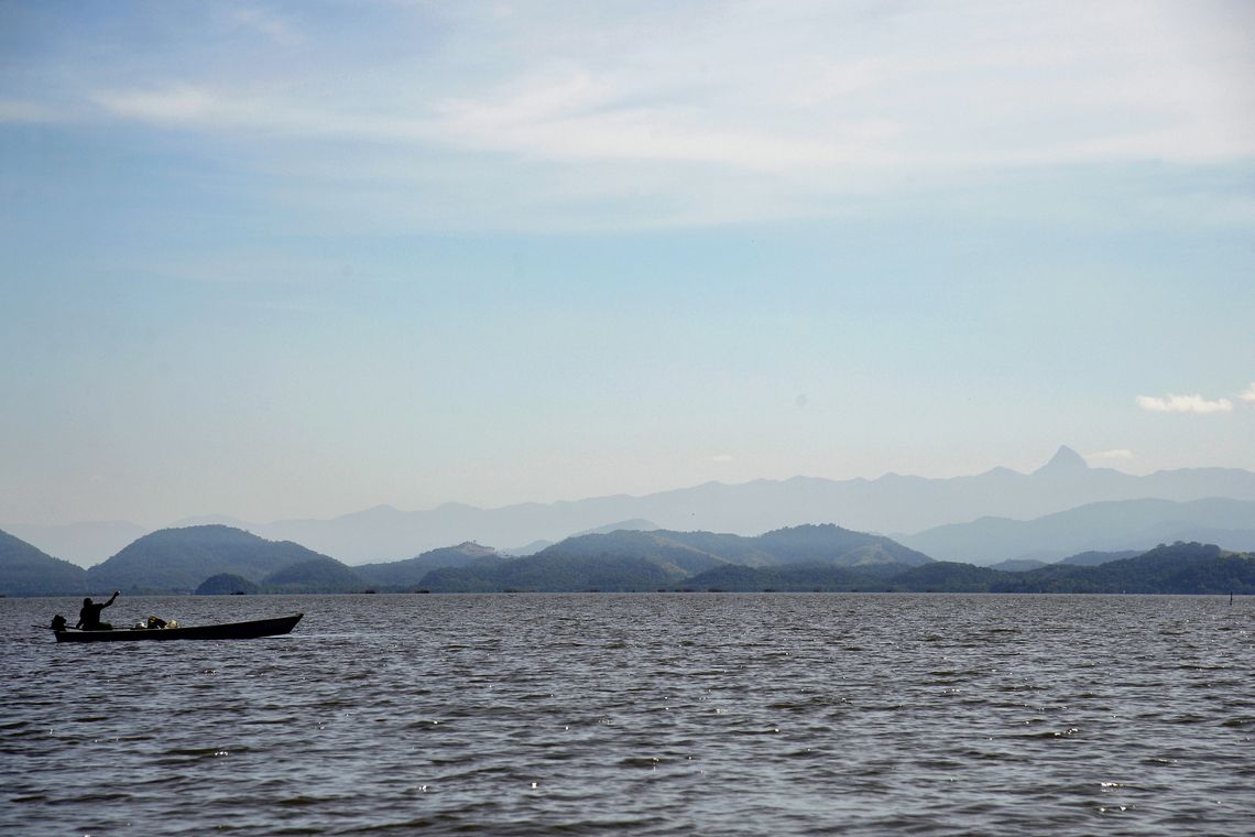 Tânia Rêgo/Agência Brasil Manguezais da Área de Proteção Ambiental(APA) de Guapi-Mirim e Estação Ecológica da Guanabara, região hidrográfica da Baía de Guanabara, Guapimirim, região metropolitana do Rio de Janeiro.