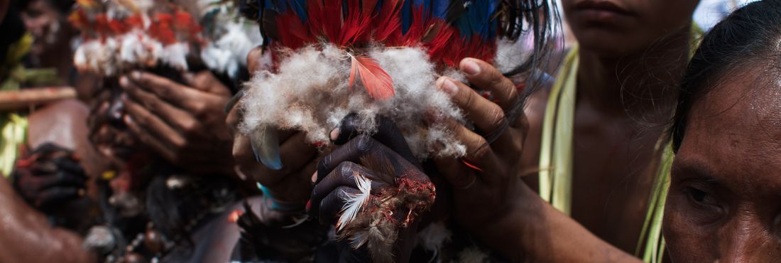 Mutirão de saúde indígena Índios fazem dança da Moça Nova ao recepcionar o Ministro da Saúde, Alexandre Padilha, no Alto Solimões (AM). A campanha de vacinação, que vai até dia 19 de maio, deve imunizar contra a gripe um terço das comunidades indígenas isoladas na região amazônica