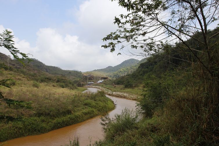  Experimento de restauração florestal em área sob influência de rejeitos da barragem de Fundão, trecho do rio Gualaxo do Norte, um dos principais afluentes do rio Doce, que abrange os municípios de Mariana, Ouro Preto e Barra Longa