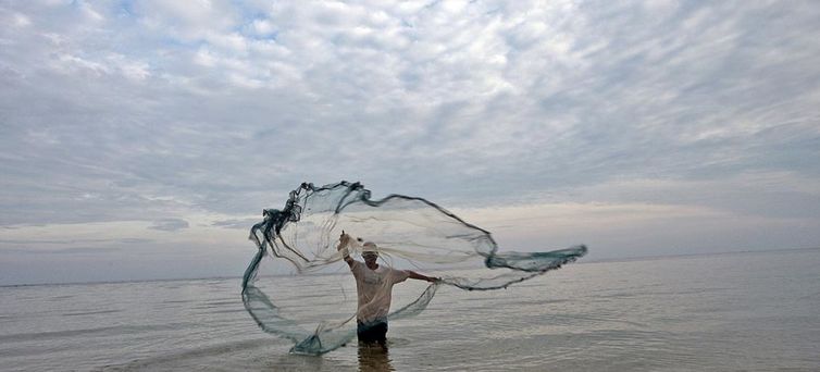 A pesca fantasma acontece quando o material dos pescadores fica perdido no mar 