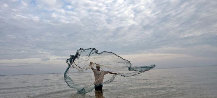 A pesca fantasma acontece quando o material dos pescadores fica perdido no mar