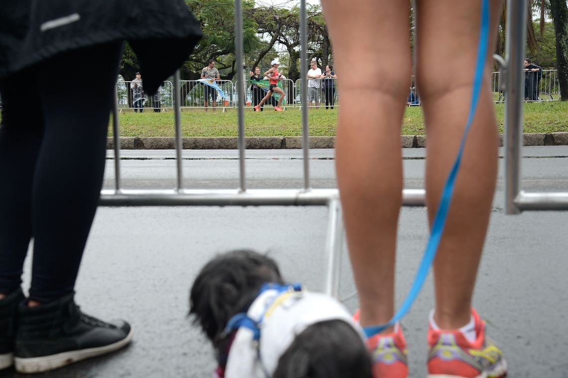 Tânia Rêgo/Agência Brasil Rio de Janeiro - Sob chuva forte atletas da maratona masculina passam pelo aterro do Flamengo (Tânia Rêgo/Agência Brasil)