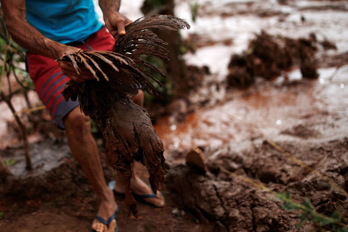 A chicken covered with mud is seen after a dam owned by Brazilian miner Vale SA that burst, in Brumadinho, Brazil January 26, 2019. REUTERS/Adriano Machado