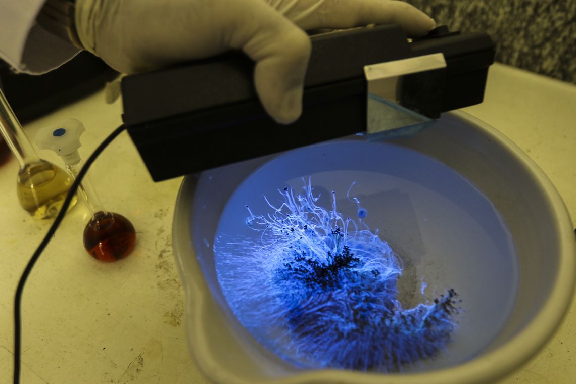 Marcello Casal JrAgência Brasil O Instituto de Química da UNB, em parceria com a Embrapa, desenvolveu uma nanotecnologia capaz de incrementar a produtividade das plantas, aumentar o valor nutritivo dos alimentos, a substância Krill A32.