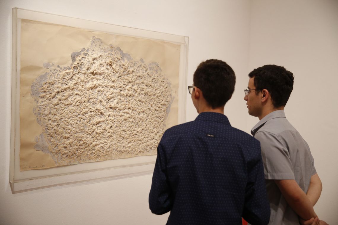 Tomaz Silva/Agência Brasil Rio de Janeiro - Exposição Diálogos Contemporâneos mostra a vivência francesa na formação de artistas brasileiros (Tomaz Silva/Agência Brasil)