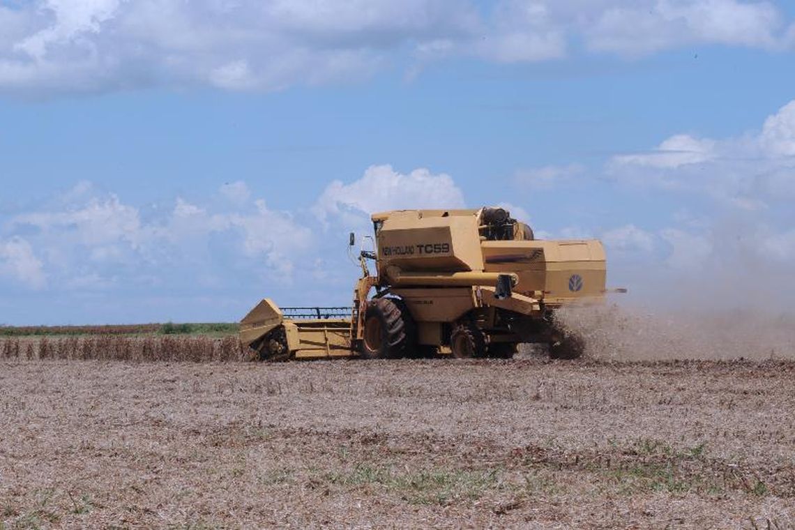 Arquivo/Agência Brasil/Agência Brasil Agronegócio