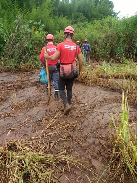A tragédia causada pelo rompimento da barragem da Mina Córrego do Feijão, em Brumadinho, a 57 quilômetros de Belo Horizonte, completa hoje (4) 11 dias de buscas.