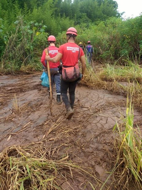 A tragÃ©dia causada pelo rompimento da barragem da Mina CÃ³rrego do FeijÃ£o, em Brumadinho, a 57 quilÃ´metros de Belo Horizonte, completa hoje (4) 11 dias de buscas. 