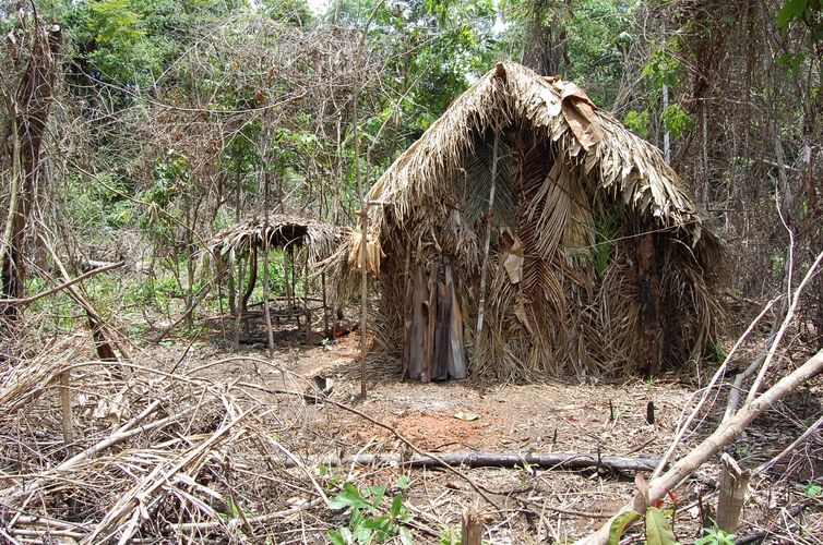 Ãndio Isolado da TI Tanaru - O sobrevivente que a Funai acompanha há 22 anos